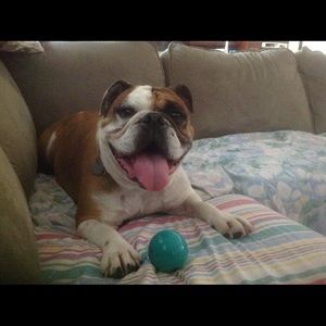 Meet your Posher, Nancy